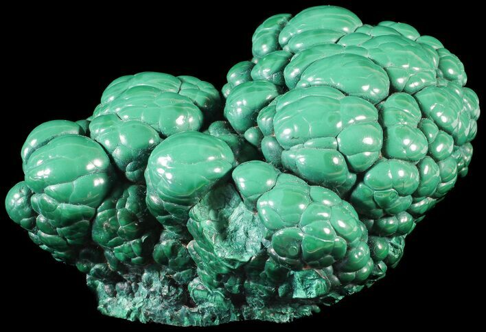 Polished Malachite Brain - Congo #63353